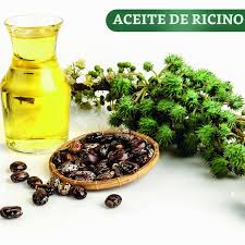2x1 ACEITE RICINO/CASTOR CON CEPILLOS APLICADORES.
